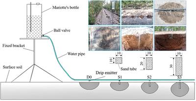 Optimized sand tube irrigation combined with nitrogen application improves jujube yield as well as water and nitrogen use efficiencies in an arid desert region of Northwest China